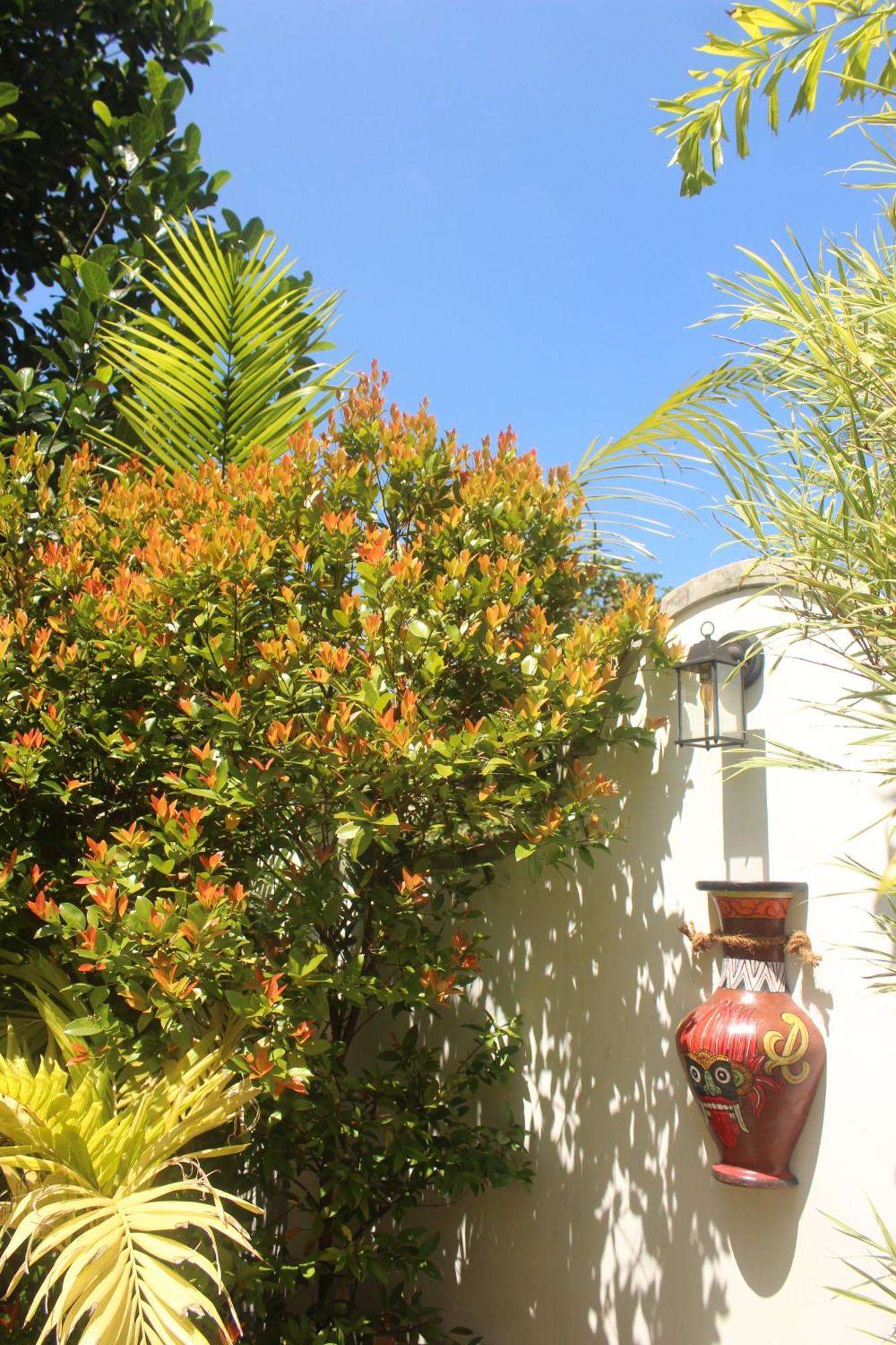 Villa Olde Ceylon Kandy Buitenkant foto